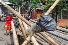 Aep, 50, shaves bamboo for panjat pinang (pole climbing) competitions, which are usually held during Indonesia&rsquo;s Independence Day celebrations, in Manggarai, Jakarta, on Aug. 13. Pinang bamboo craftsmen have seen a loss in income after the Jakarta administration restricted events that attract crowds amid the surge in COVID-19 cases. While in normal years, a craftsman can sell up to 50 pinang, this year they haven't been able to sell any. 