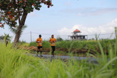Runners are treated to a view of Gianyar&rsquo;s sceneric landscapes.